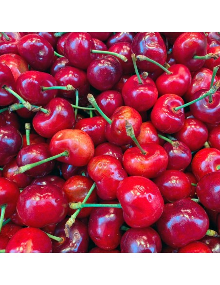 Cerezas Chilenas