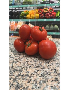 Tomate rama