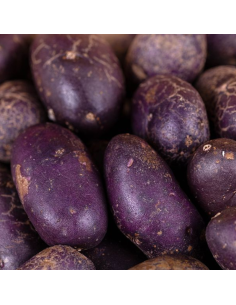 Patata violeta