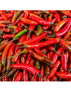 Chile serrano rojo