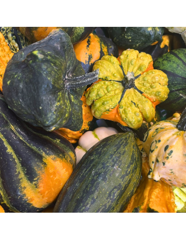 Calabazas de decoración