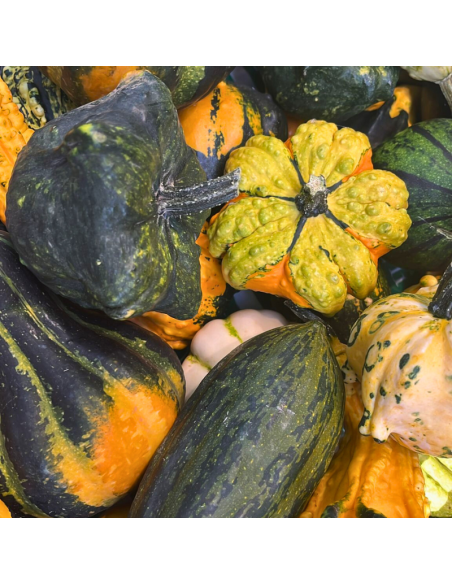 Calabazas de decoración
